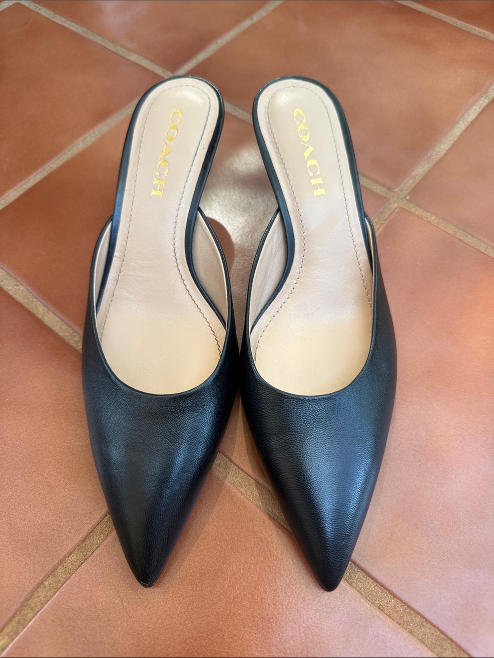 Coach Black Leather Pointed-Toe Slip-On Mules